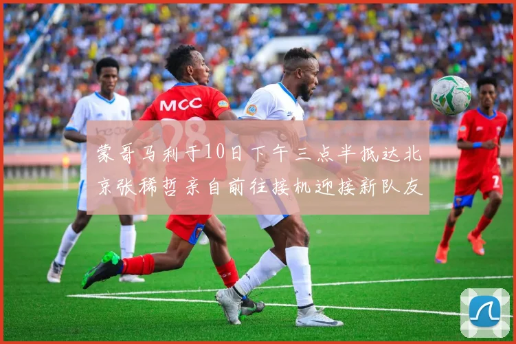 蒙哥马利于10日下午三点半抵达北京张稀哲亲自前往接机迎接新队友