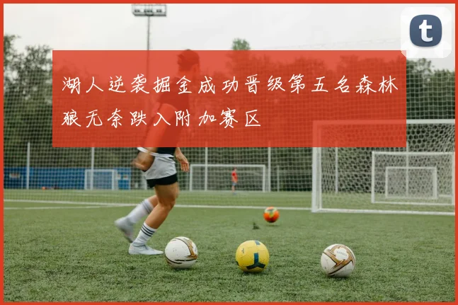 湖人逆袭掘金成功晋级第五名森林狼无奈跌入附加赛区