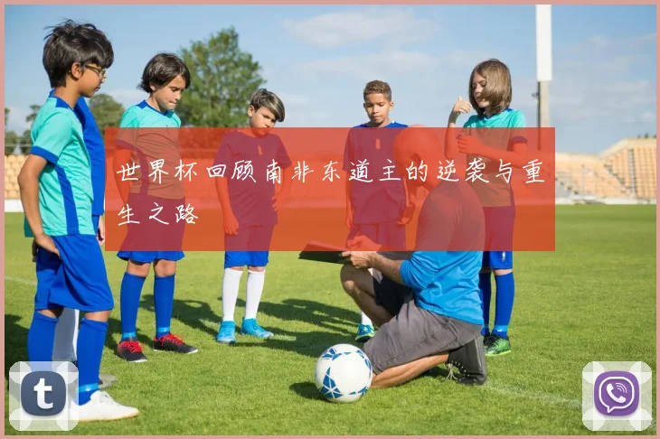 世界杯回顾南非东道主的逆袭与重生之路